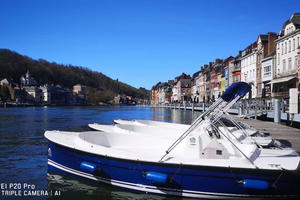 Vue Sur Meuse Avec Jacuzzi Et Sauna Exterieur. Yvoir Exterior photo